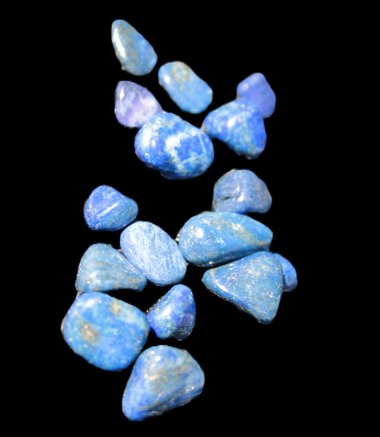 Lapis Lazuli 15 tiny polished stones 8-10g Rocks and Things