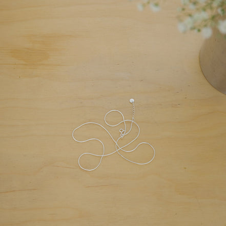 Layer Loing Snake Necklaces