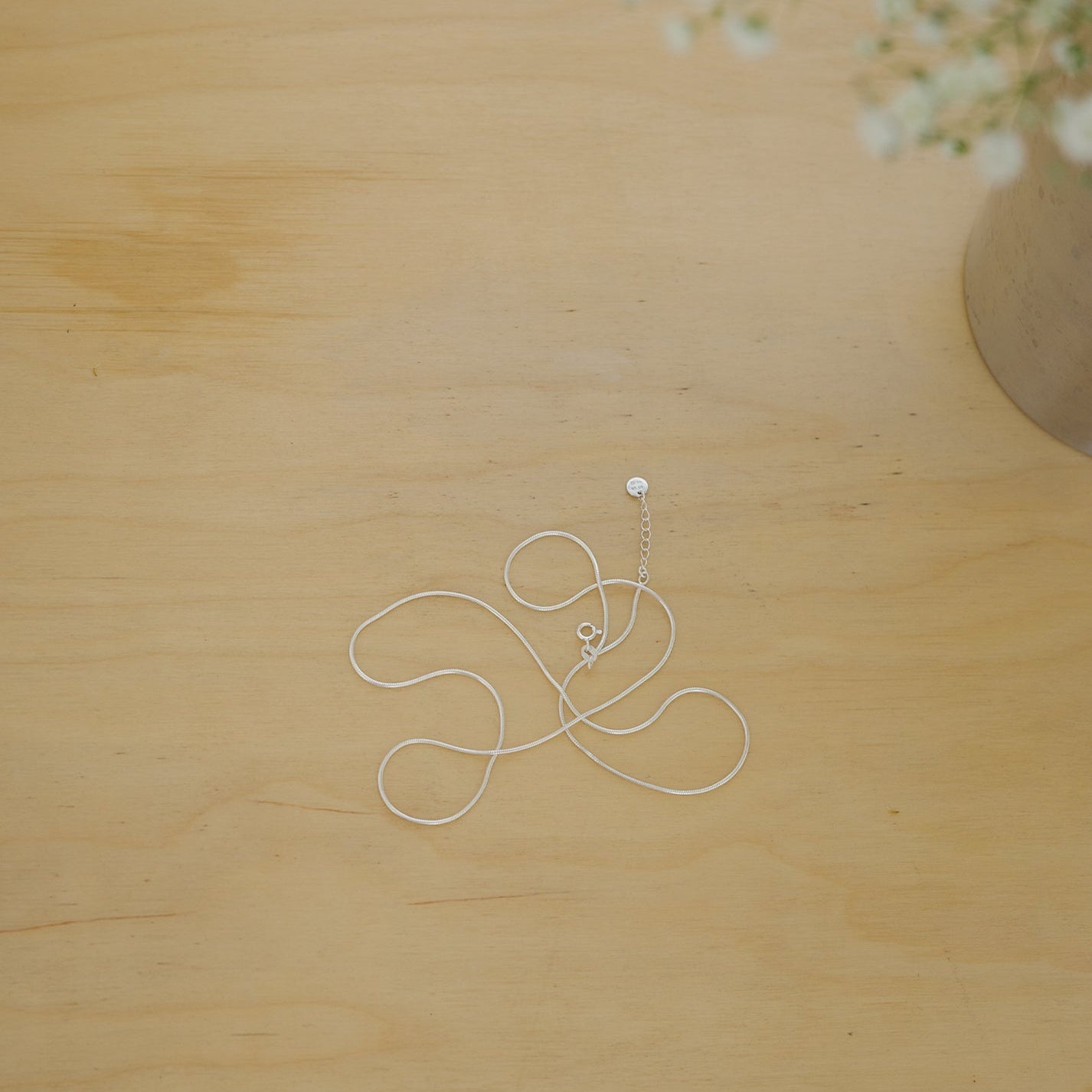Layer Loing Snake Necklaces