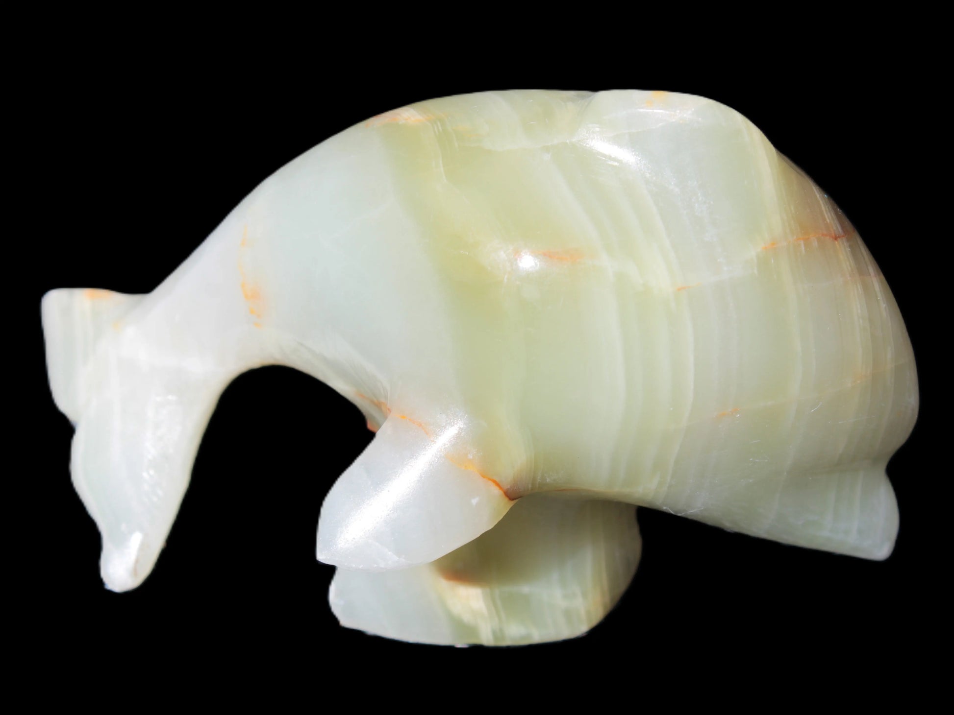 Leaping Dolphin hand-carved Afghan Jade 206.3g Rocks and Things