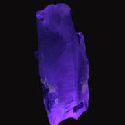 Lemurian Smoky Quartz with tiny Bridge Aquamarine and Blue Tourmaline 136.2 ct 27.2g Rocks and Things Store