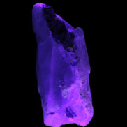 Lemurian Smoky Quartz with tiny Bridge Aquamarine and Blue Tourmaline 136.2 ct 27.2g Rocks and Things Store