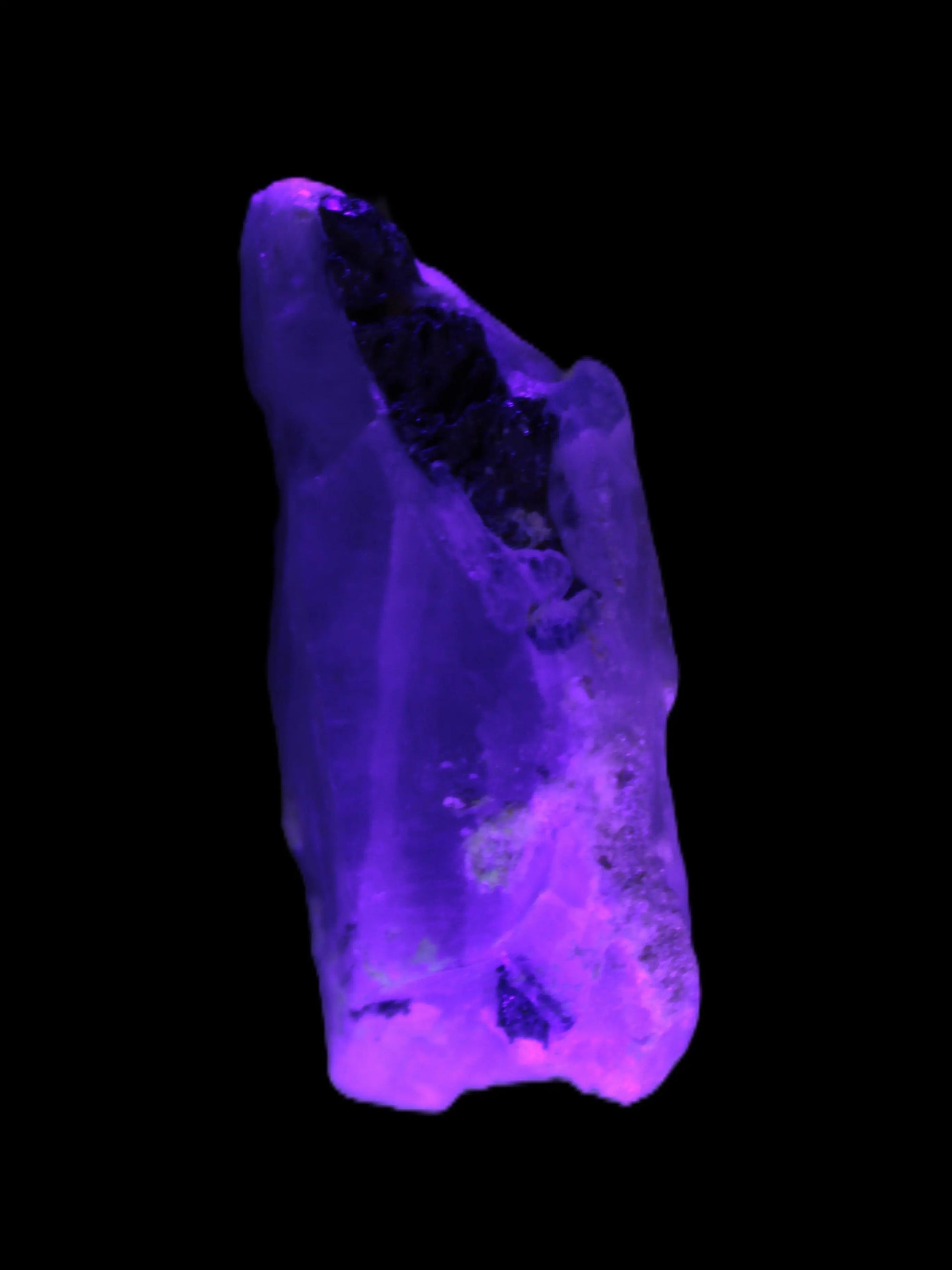 Lemurian Smoky Quartz with tiny Bridge Aquamarine and Blue Tourmaline 136.2 ct 27.2g Rocks and Things Store