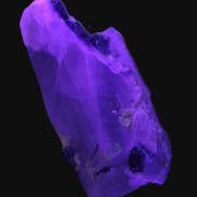 Lemurian Smoky Quartz with tiny Bridge Aquamarine and Blue Tourmaline 136.2 ct 27.2g Rocks and Things Store