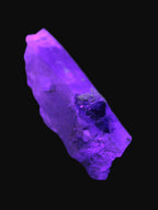 Lemurian Smoky Quartz with tiny Bridge Aquamarine and Blue Tourmaline 136.2 ct 27.2g Rocks and Things Store