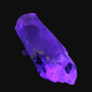 Lemurian Smoky Quartz with tiny Bridge Aquamarine and Blue Tourmaline 136.2 ct 27.2g Rocks and Things Store