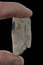 Lemurian Smoky Quartz with tiny Bridge Aquamarine and Blue Tourmaline 136.2 ct 27.2g Rocks and Things Store