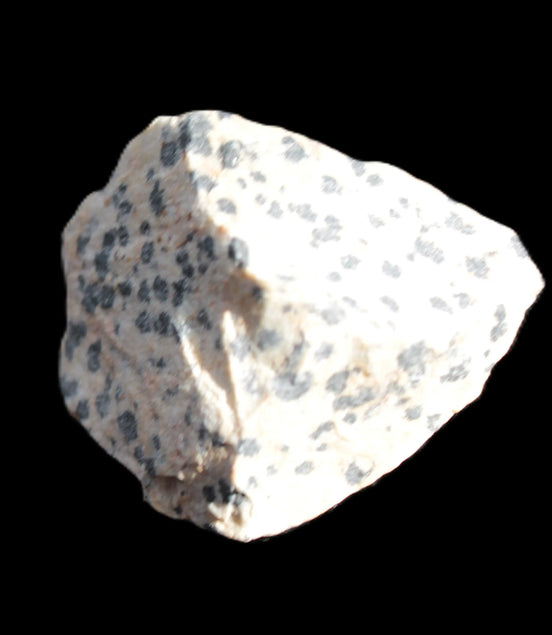 Leopard Stone natural  8-16g Rocks and Things