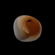 Mookaite stone 10g in sunlight - Rocks and Things Store