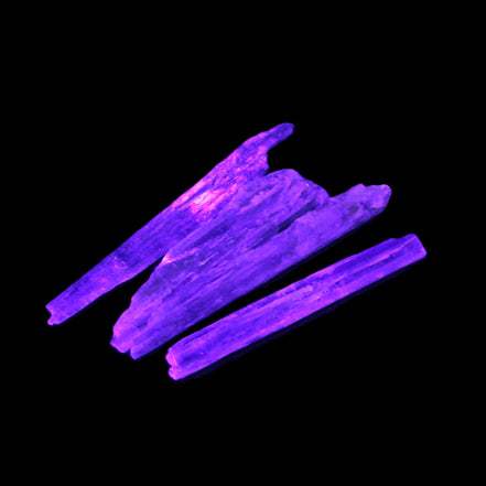 Natural Blue Kyanite blade crystals 8-13g Rocks and Things Store