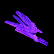 Natural Blue Kyanite blade crystals 8-13g Rocks and Things Store