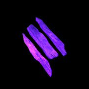 Natural Blue Kyanite blade crystals 8-13g Rocks and Things Store