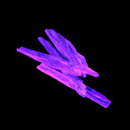 Natural Blue Kyanite blade crystals 8-13g Rocks and Things Store