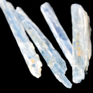 Natural Blue Kyanite blade crystals 8-13g Rocks and Things Store