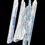 Natural Blue Kyanite blade crystals 8-13g Rocks and Things Store