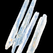 Natural Blue Kyanite blade crystals 8-13g Rocks and Things Store
