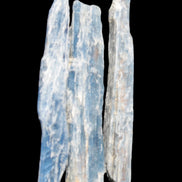 Natural Blue Kyanite blade crystals 8-13g Rocks and Things Store