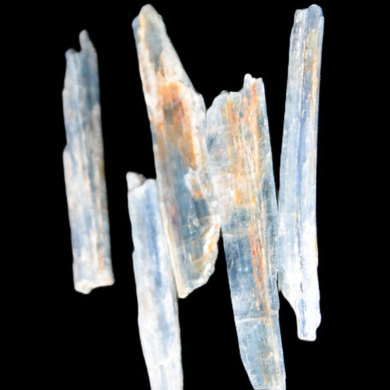 Natural Blue Kyanite blade crystals Rocks and Things