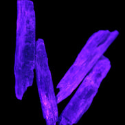 Natural Blue Kyanite blade crystals Rocks and Things