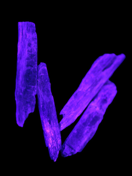 Natural Blue Kyanite blade crystals Rocks and Things