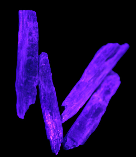 Natural Blue Kyanite blade crystals Rocks and Things