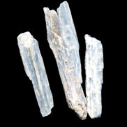 Natural Blue Kyanite blade crystals Rocks and Things