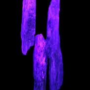 Natural Blue Kyanite blade crystals Rocks and Things