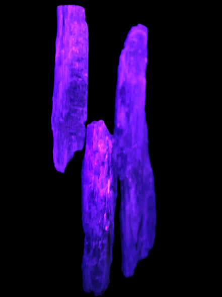 Natural Blue Kyanite blade crystals Rocks and Things