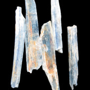 Natural Blue Kyanite blade crystals Rocks and Things