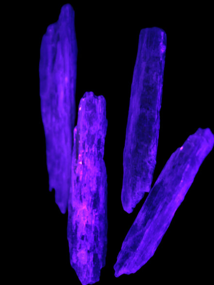 Natural Blue Kyanite blade crystals Rocks and Things