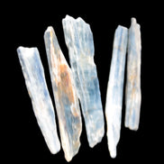 Natural Blue Kyanite blade crystals Rocks and Things