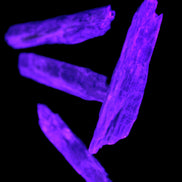 Natural Blue Kyanite blade crystals Rocks and Things