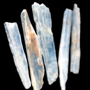 Natural Blue Kyanite blade crystals Rocks and Things