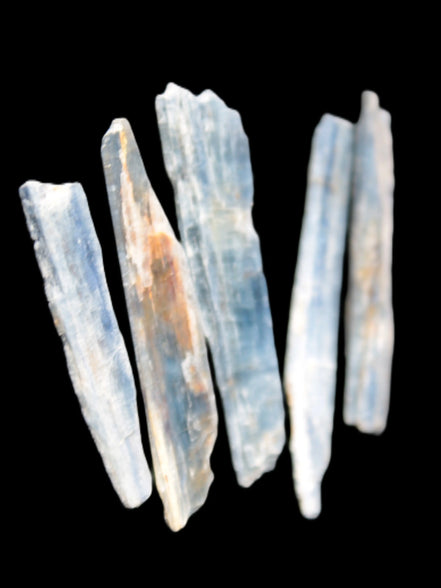 Natural Blue Kyanite blade crystals Rocks and Things