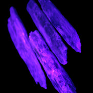 Natural Blue Kyanite blade crystals Rocks and Things