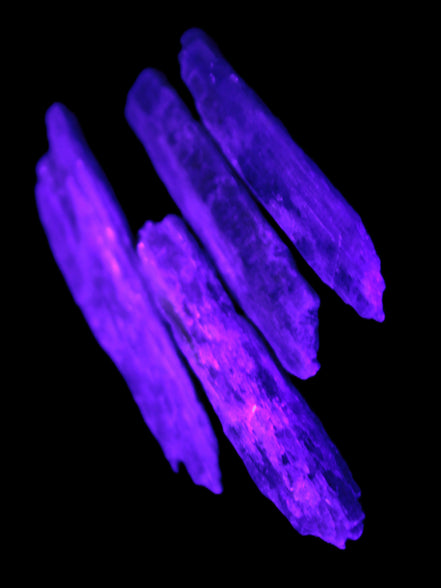 Natural Blue Kyanite blade crystals Rocks and Things