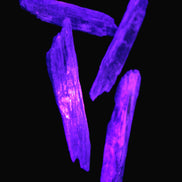 Natural Blue Kyanite blade crystals Rocks and Things