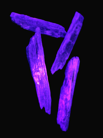Natural Blue Kyanite blade crystals Rocks and Things