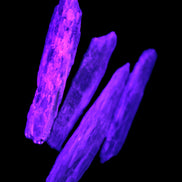 Natural Blue Kyanite blade crystals Rocks and Things