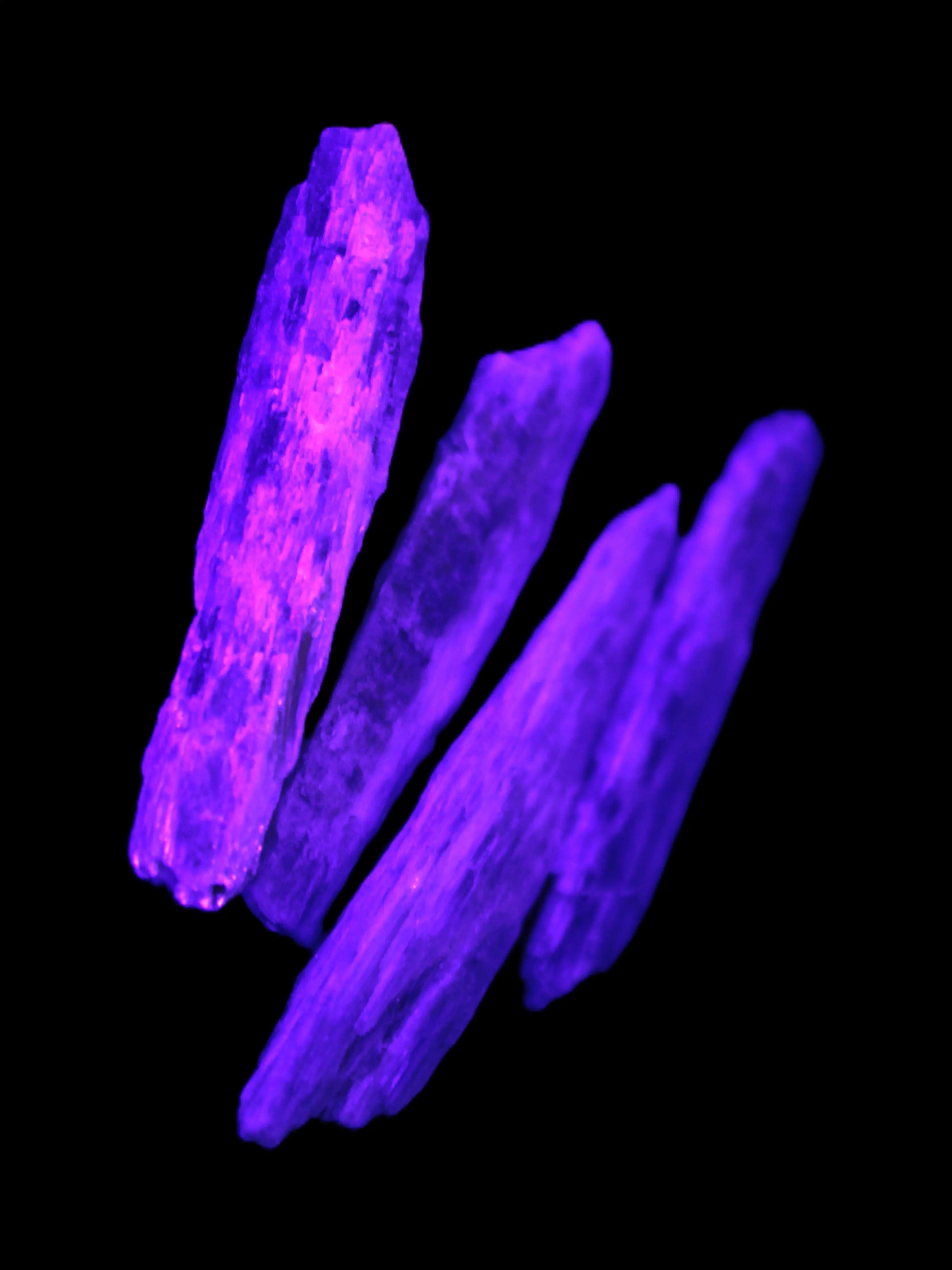 Natural Blue Kyanite blade crystals Rocks and Things