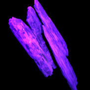 Natural Blue Kyanite blade crystals Rocks and Things