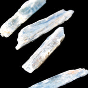 Natural Blue Kyanite blade crystals Rocks and Things