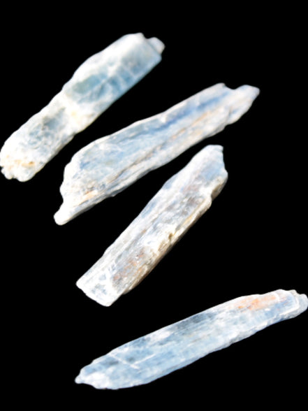 Natural Blue Kyanite blade crystals Rocks and Things