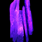 Natural Blue Kyanite blade crystals Rocks and Things