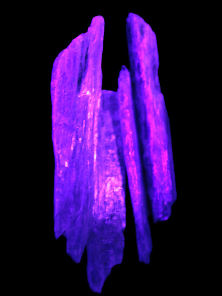 Natural Blue Kyanite blade crystals Rocks and Things