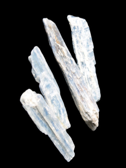 Natural Blue Kyanite blade crystals Rocks and Things