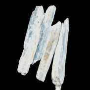 Natural Blue Kyanite blade crystals Rocks and Things