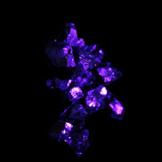 Noble elite Shungite small pieces 4g Rocks and Things