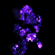 Noble elite Shungite small pieces 4g Rocks and Things