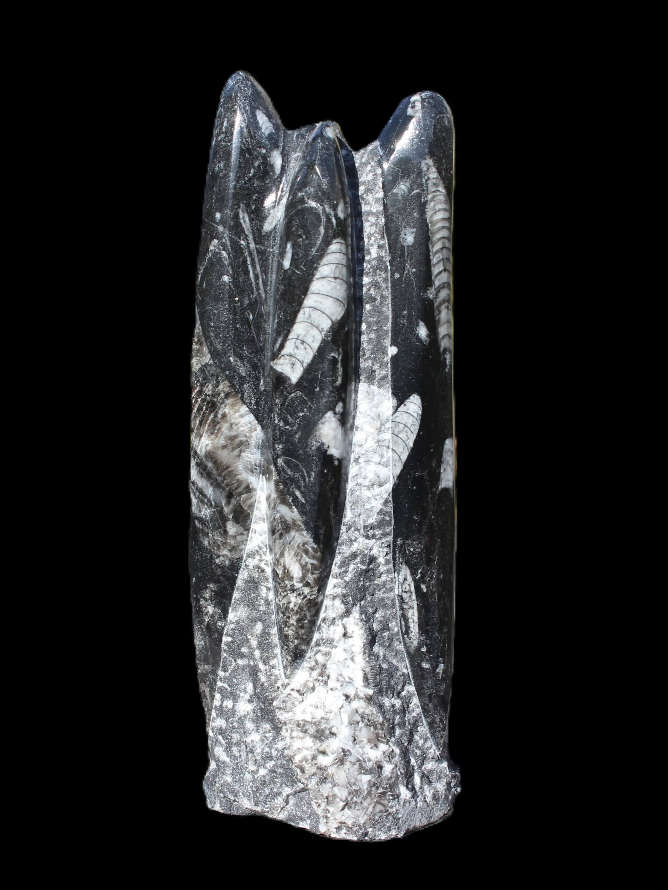 Orthoceras fossil tower 1279g Rocks and Things